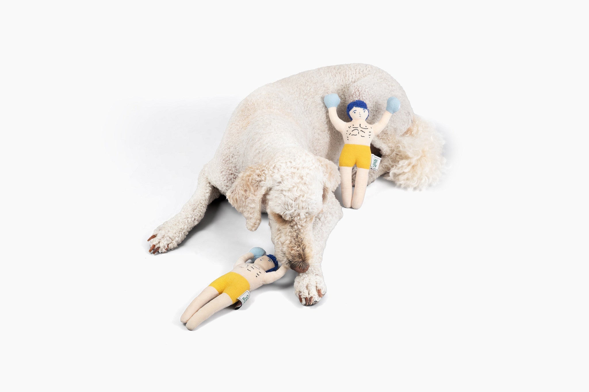 Champ Rocky Nose Work Dog Toy / Enrichment Toy - Southlake Paws
