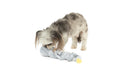 Load image into Gallery viewer, Liberty Nose Work Dog Toy - Southlake Paws
