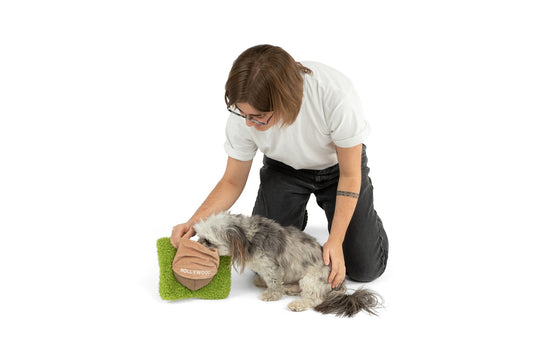 Hollywoof Nose Work Dog Toy - Southlake Paws