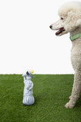 Load image into Gallery viewer, Liberty Nose Work Dog Toy - Southlake Paws
