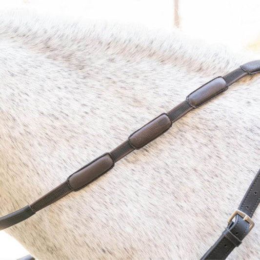 Southlake Paws Comfort Connect Rein featuring intermittent padding for equal rein length and hand support on a horse's side.