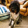 Load image into Gallery viewer, Conversation Hearts Valentine Bandana
