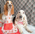 Load image into Gallery viewer, Cookie Tester Dog Bandana
