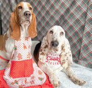 Cookie Tester Dog Bandana
