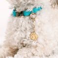 Load image into Gallery viewer, Cookie Pet Charm
