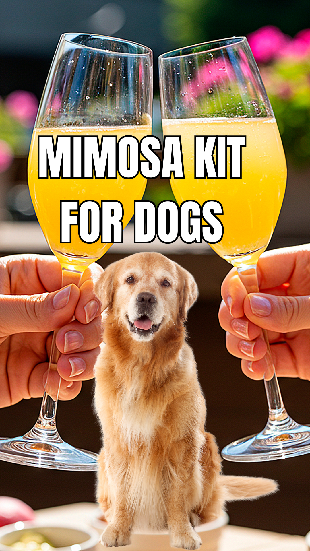Fur-Mosa Brunch Hydration Kit for Dogs close-up bottle image for dogs