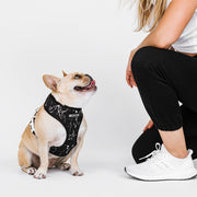 Frenchie Duo Reversible Harness - Black Marble 