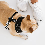 Frenchie Duo Reversible Harness - Black Marble 