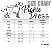 Gingham Picnic Dress