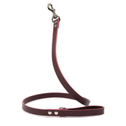 Coral Dog Leash