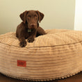 Load image into Gallery viewer, 50 Inch Forever Dog Bed (Waterproof) - Terry Corduroy
