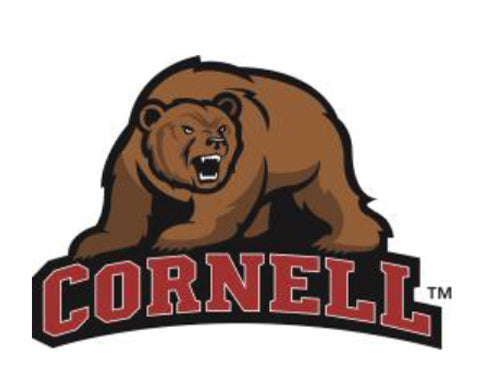 NCAA Cornell University, Big Red Bear Knottie® Plush Dog Toy - image 4