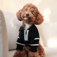 Load image into Gallery viewer, The Cortado | Black Striped Quarter-Zip Dog Sweater
