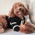Load image into Gallery viewer, The Cortado | Black Striped Quarter-Zip Dog Sweater
