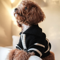 Load image into Gallery viewer, The Cortado | Black Striped Quarter-Zip Dog Sweater
