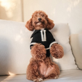 Load image into Gallery viewer, The Cortado | Black Striped Quarter-Zip Dog Sweater
