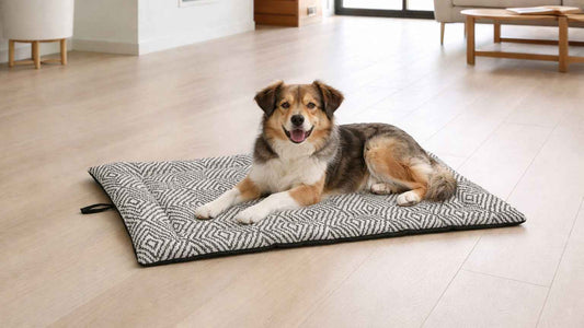 Bowsers Cosmopolitan Signature Textures Washable Dog Mat - Easy-Care Comfort and Surface Protection