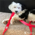 Load image into Gallery viewer, Fabric Dog Leash - Red
