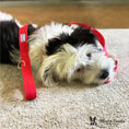 Load image into Gallery viewer, Fabric Dog Leash - Red
