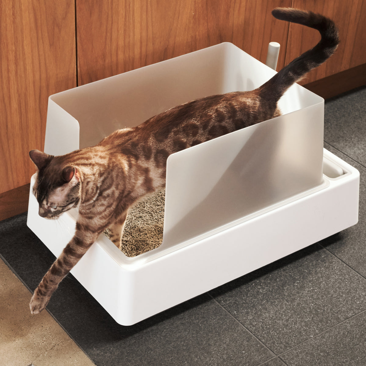 Cove Litter Box - Southlake Paws