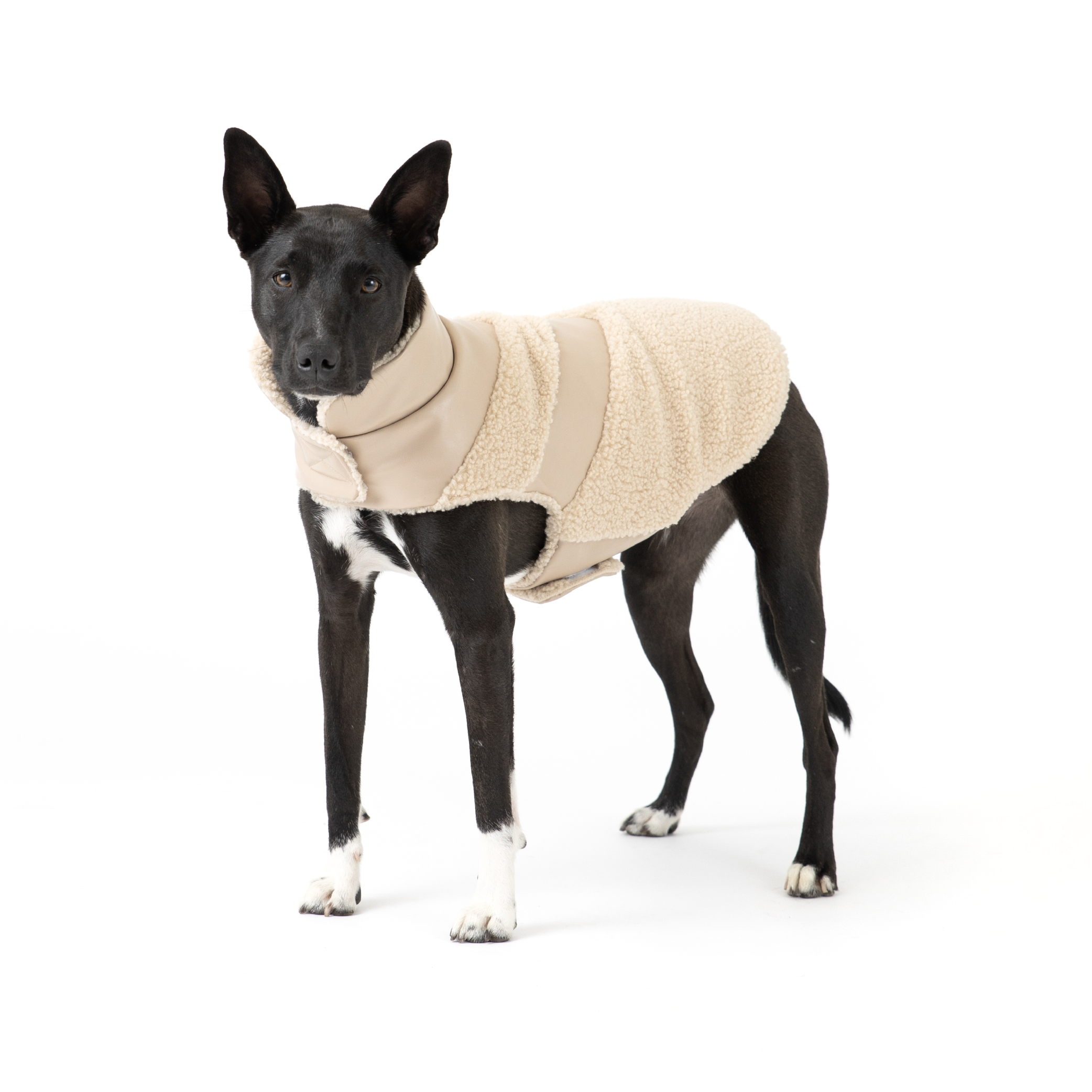Fab Ski Tan Leather Shearling Coat - Southlake Paws