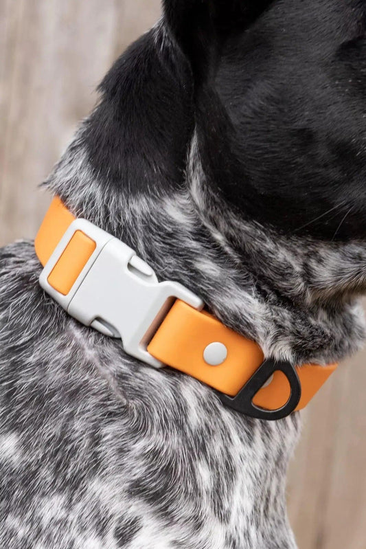 Crimson Glow Waterproof Dog Collar - Southlake Paws