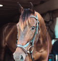 Load image into Gallery viewer, ExionPro Anatomical Combined Flash Bridle with Reins

