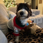 Christmas Dog Sweater
