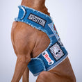 Load image into Gallery viewer, Rocker Harness 2.0
