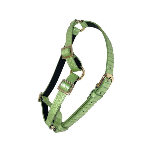 Sea Anemone Pearl Green Snake Harness