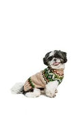 Load image into Gallery viewer, Ragg Wool Fair Isle Dog Sweater
