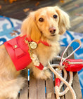 Load image into Gallery viewer, HARNESS - MELTING HEARTS
