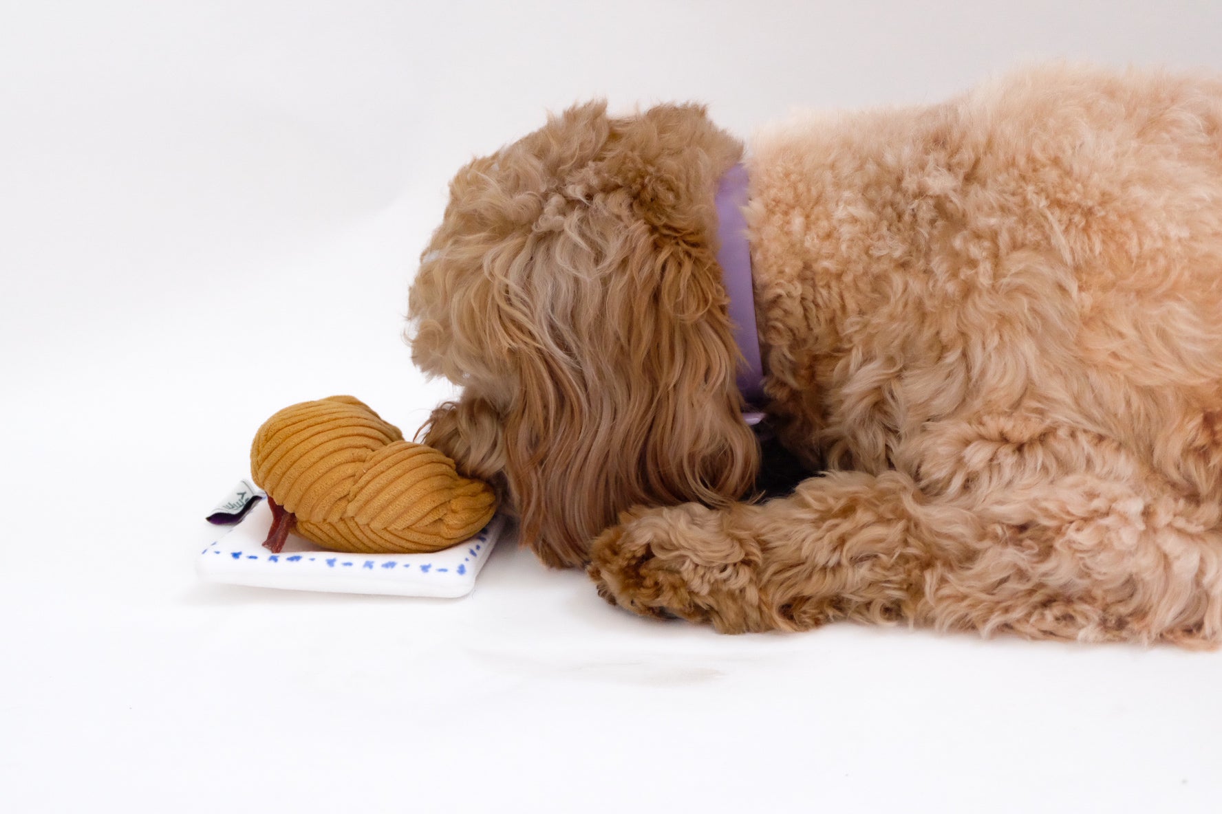 Croissant Nose Work Toy / Enrichment Toy - Southlake Paws