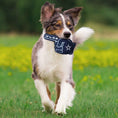Load image into Gallery viewer, Dallas Cowboys #1 Fan Toy
