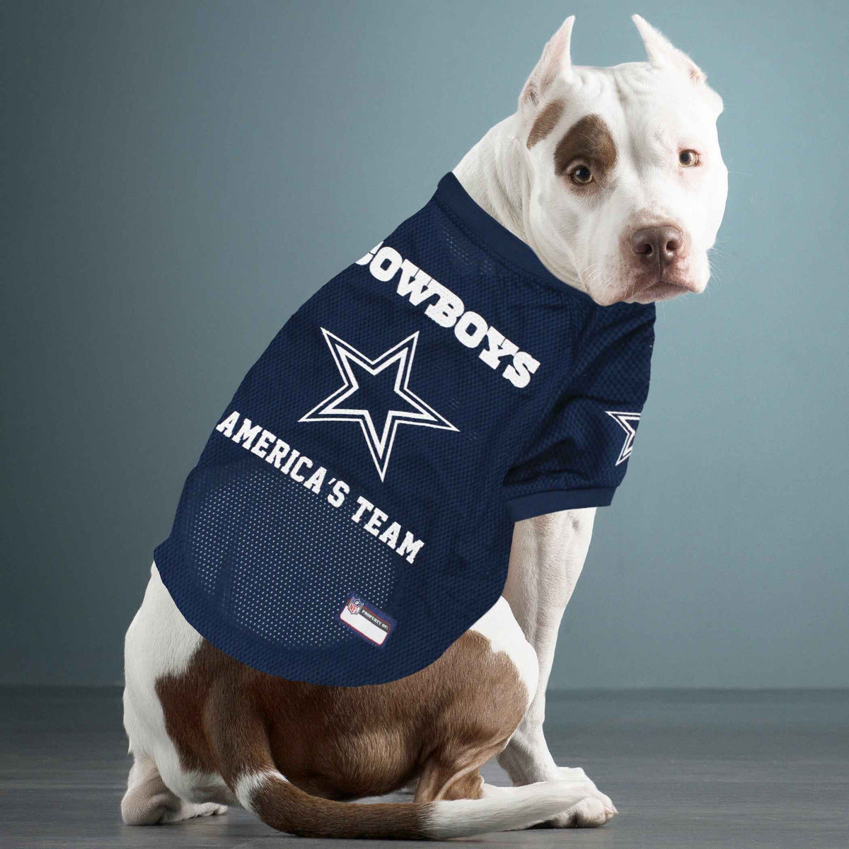 NFL Dallas Cowboys Raglan Dog Jersey