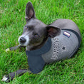 Load image into Gallery viewer, Dallas Cowboys Dog Shirt - NFL Pet Fan Apparel
