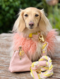Load image into Gallery viewer, TREAT BAG - SWEETEST THING
