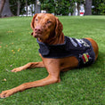 Load image into Gallery viewer, Pups of Anarchy Harness
