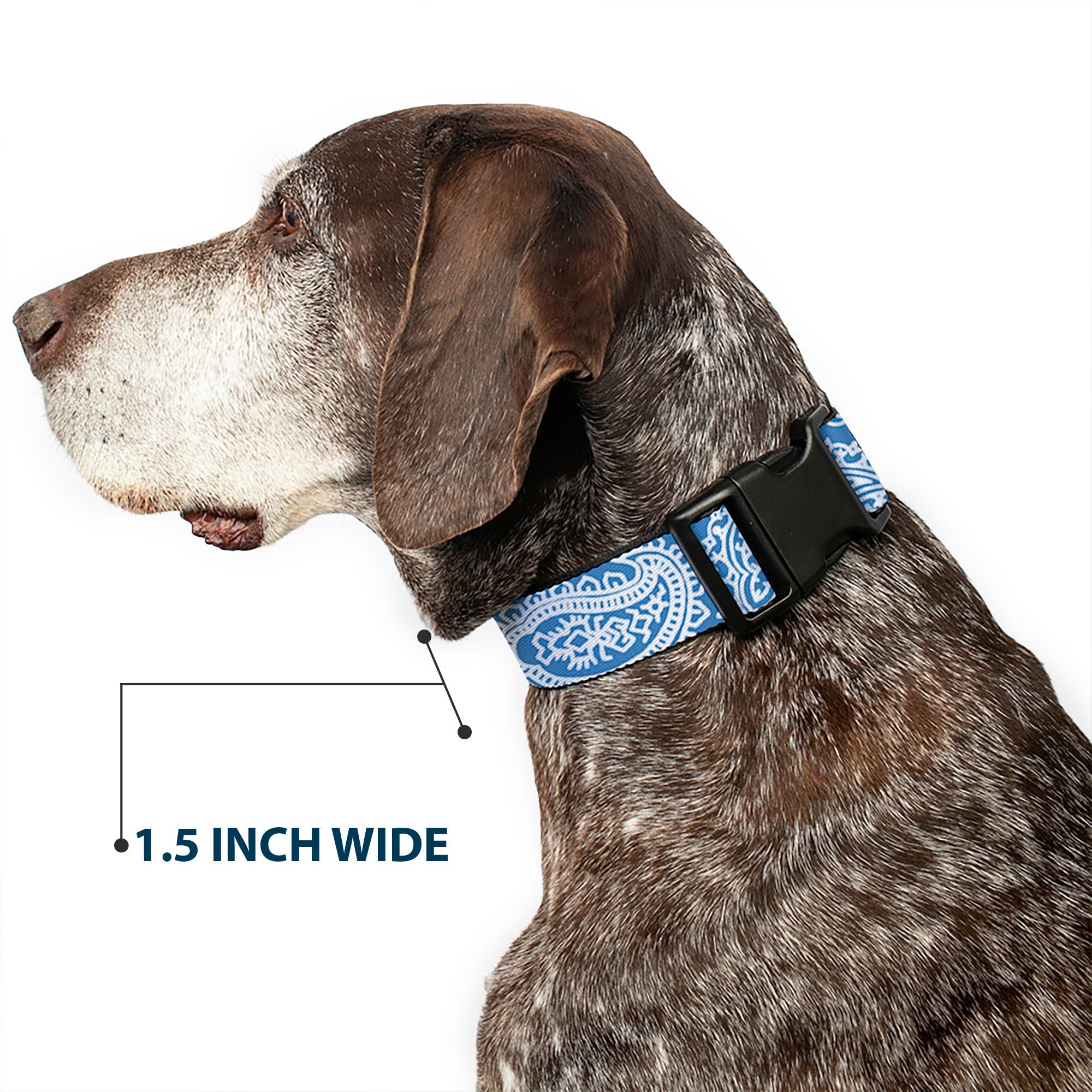 Plastic Clip Collar - Bandana/Skulls Baby Blue/White