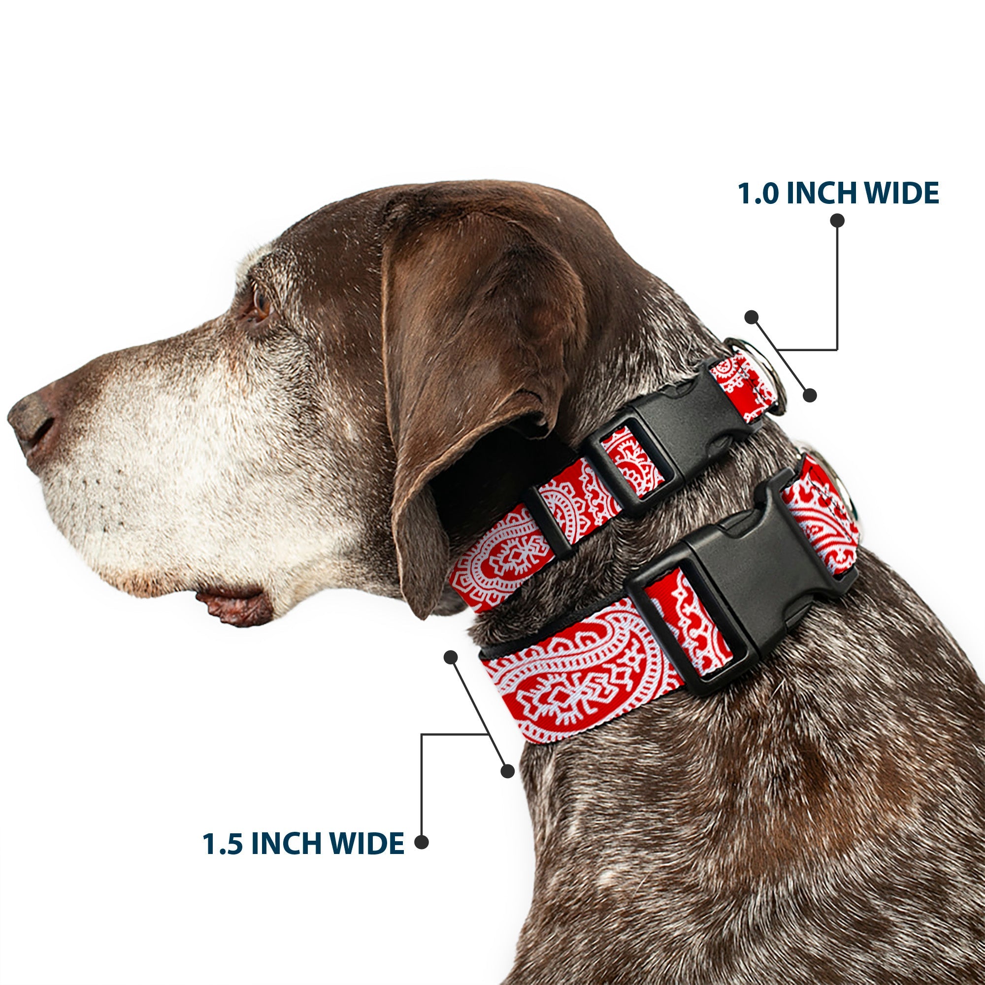 Plastic Clip Collar - Bandana/Skulls Red/White