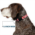 Load image into Gallery viewer, Plastic Clip Collar - Bandana/Skulls Red/White
