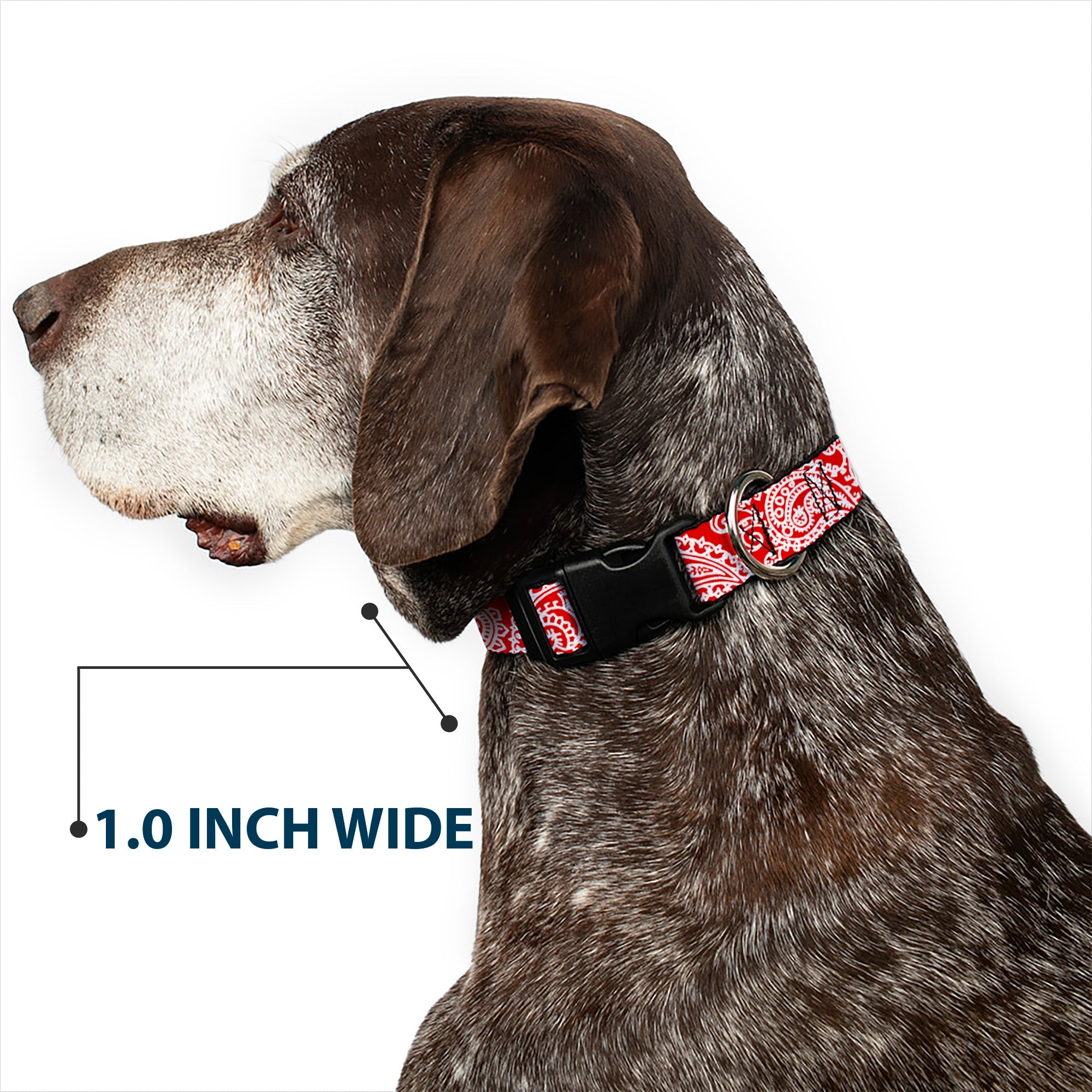 Plastic Clip Collar - Bandana/Skulls Red/White