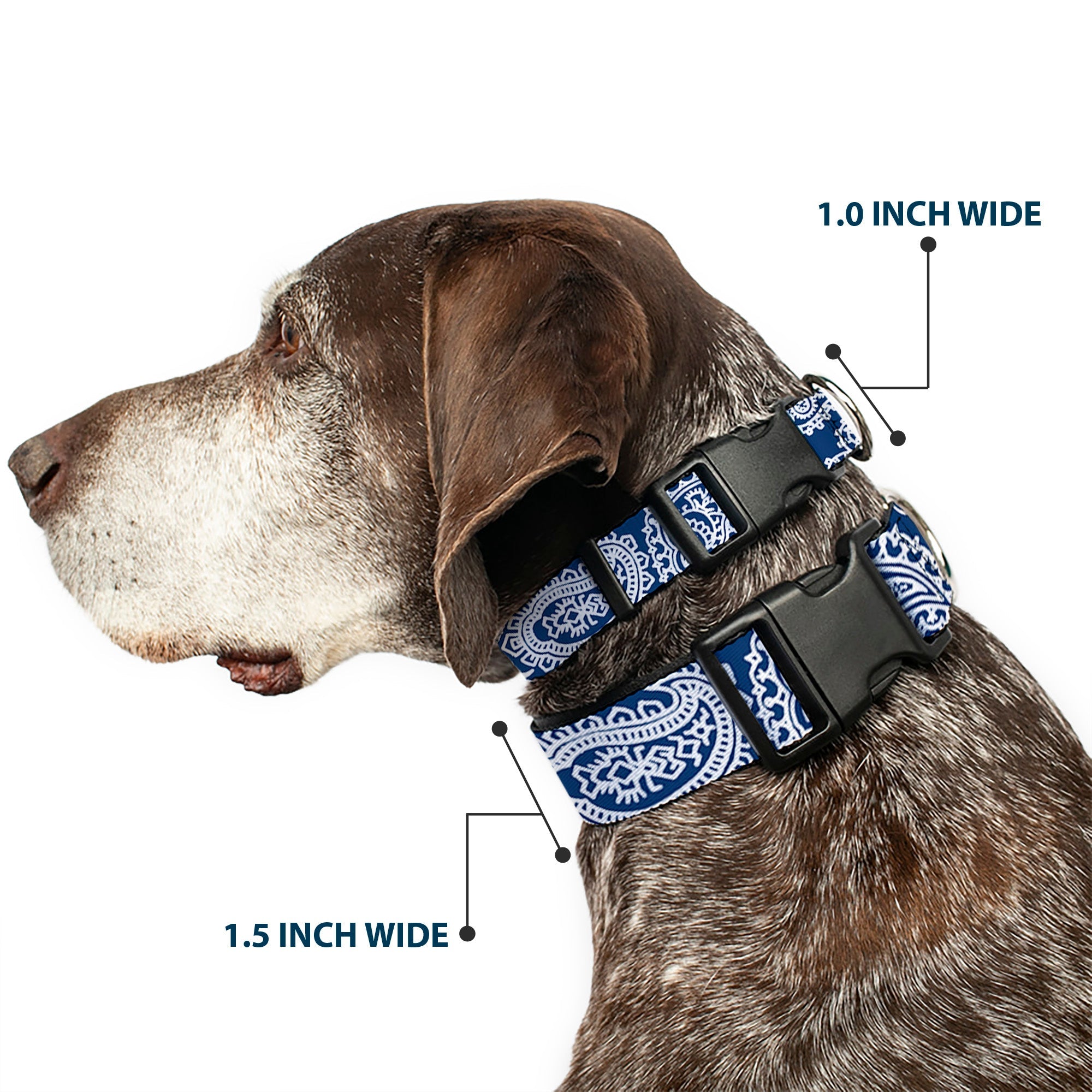 Plastic Clip Collar - Bandana/Skulls Royal/White