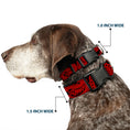 Load image into Gallery viewer, Plastic Clip Collar - Bandana/Skulls Black/Red
