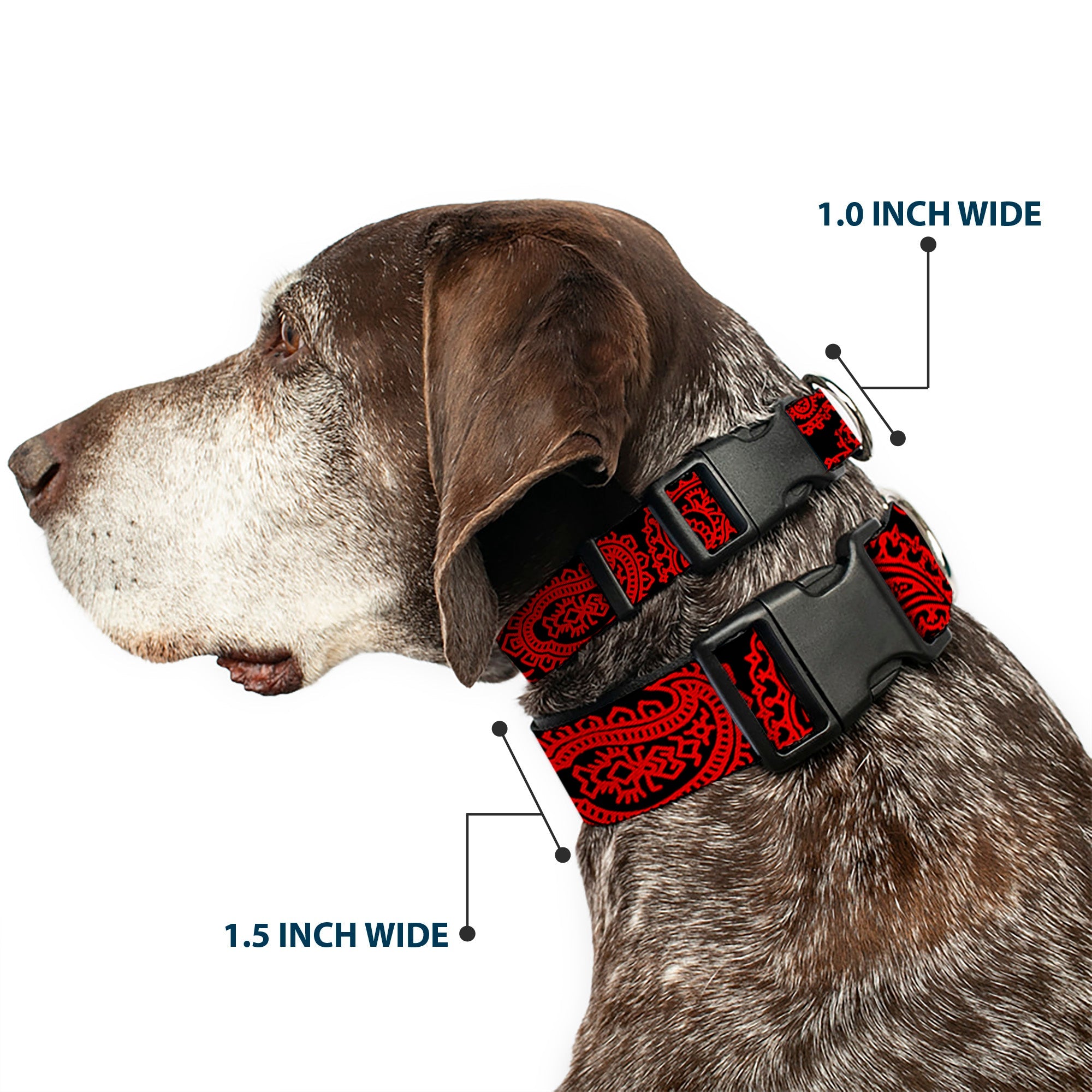 Plastic Clip Collar - Bandana/Skulls Black/Red