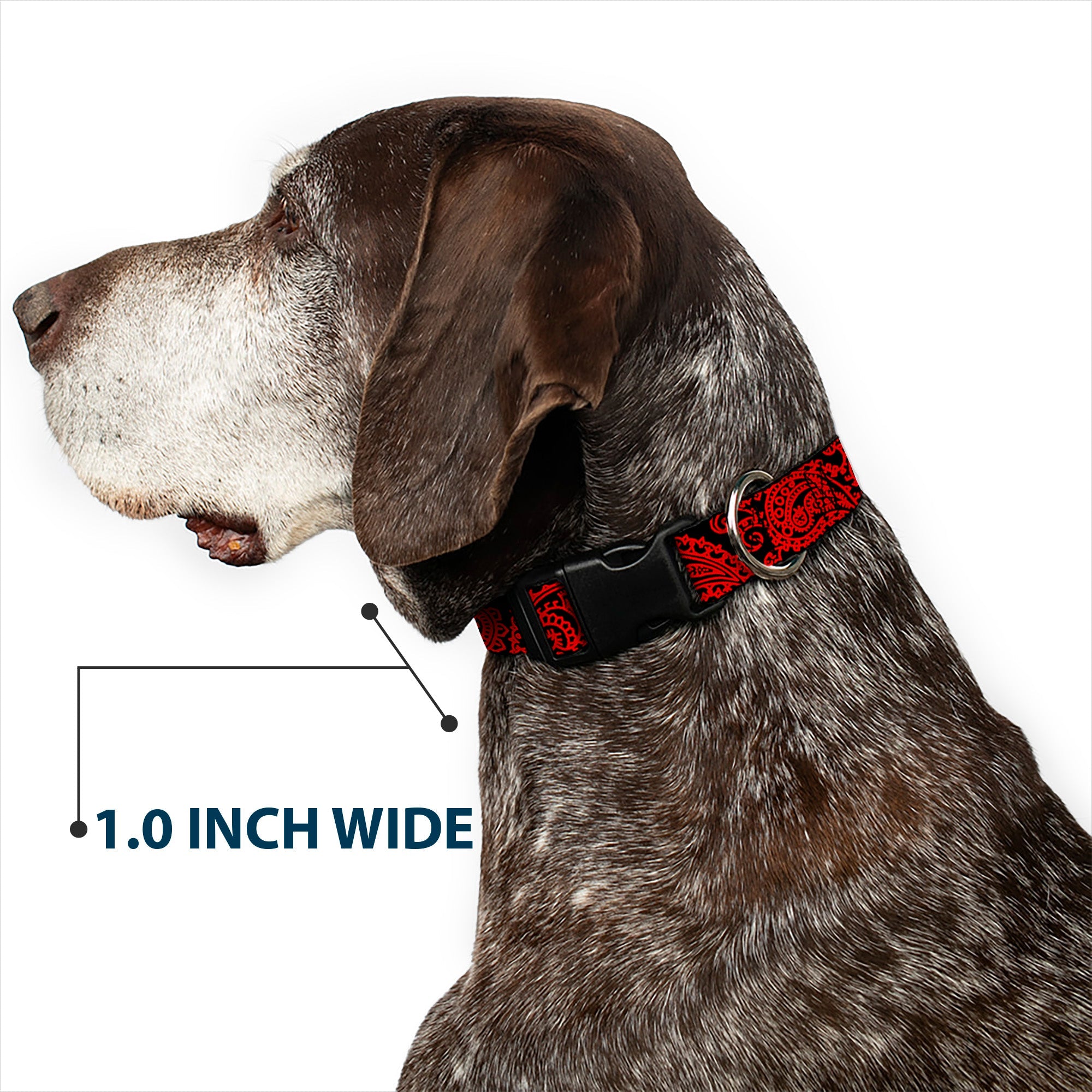 Plastic Clip Collar - Bandana/Skulls Black/Red
