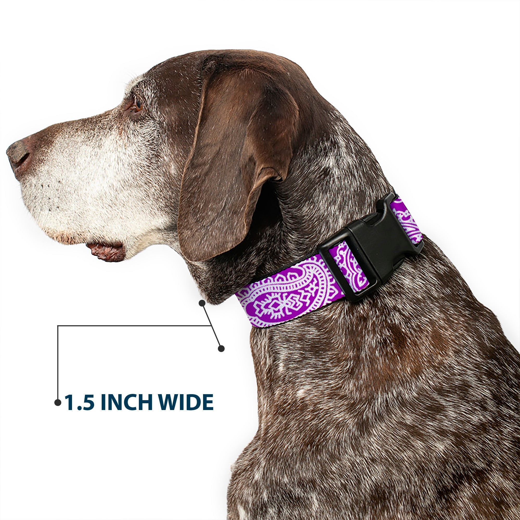 Plastic Clip Collar - Bandana/Skulls Purple/White