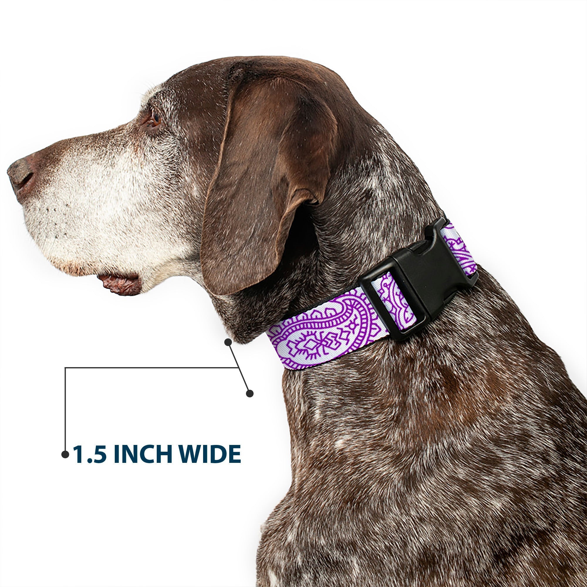 Plastic Clip Collar - Bandana/Skulls White/Purple
