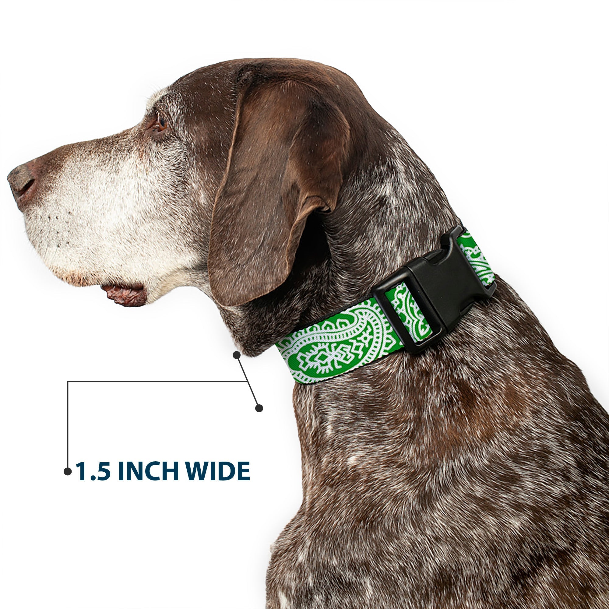 Plastic Clip Collar - Bandana/Skulls Irish Green/White