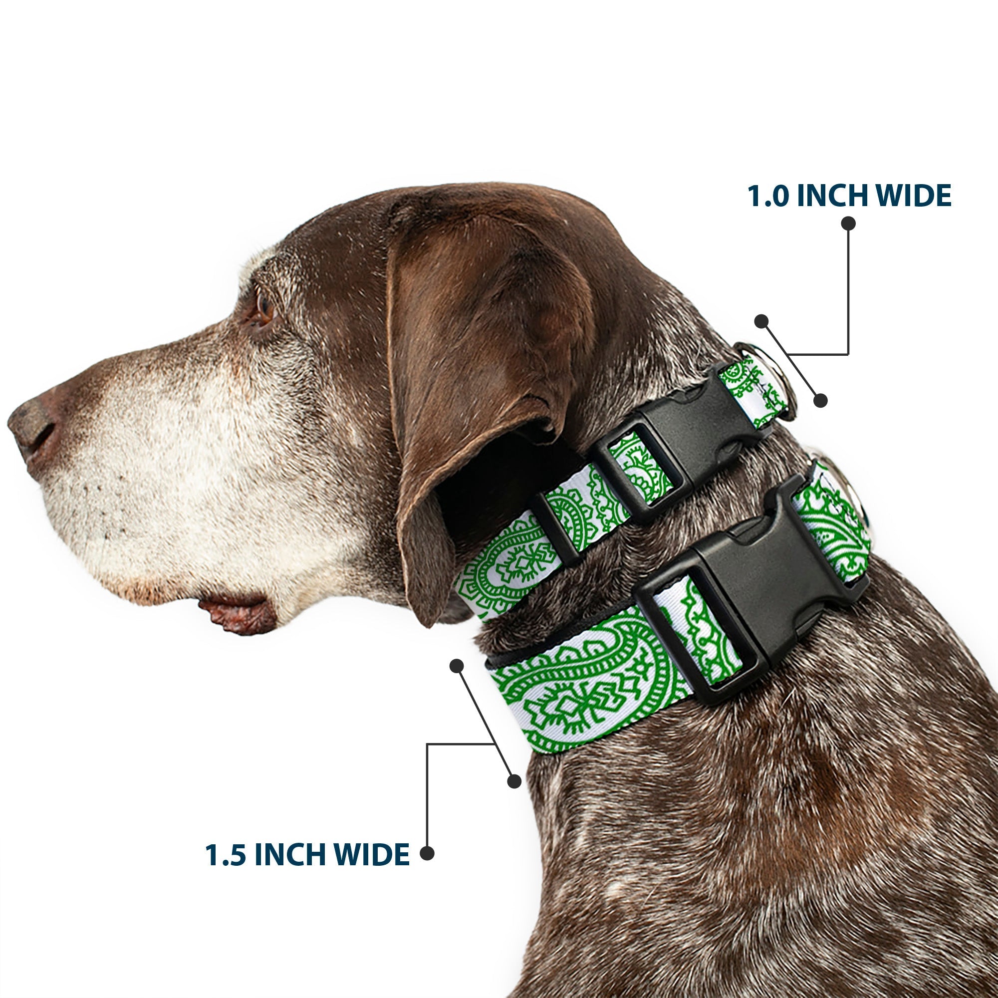 Plastic Clip Collar - Bandana/Skulls White/Irish Green